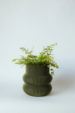 Moss Green Curvy Pot - Large