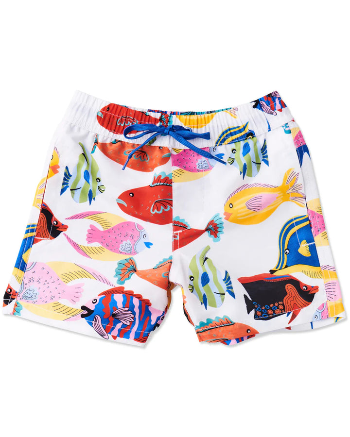 Fishy Business Boardies