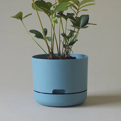 Self Watering Pots – TheSuperCool