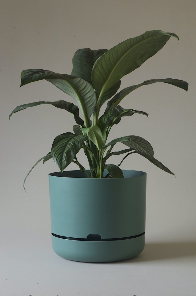 Moss Green 37.5cm Self Watering Pot